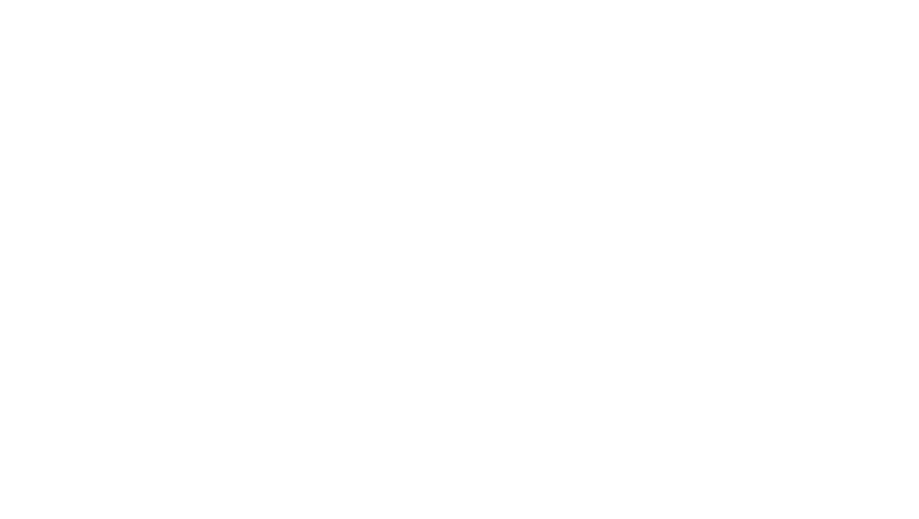 Budget Mobiel (voorheen Robin Mobile)