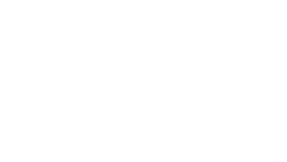 Budget Internet